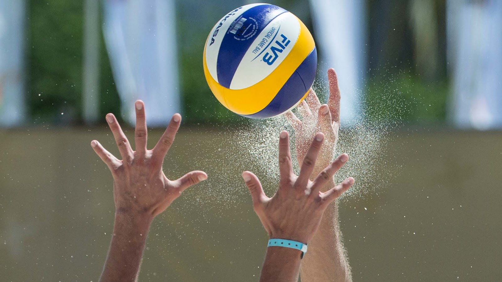 beach volley ball court